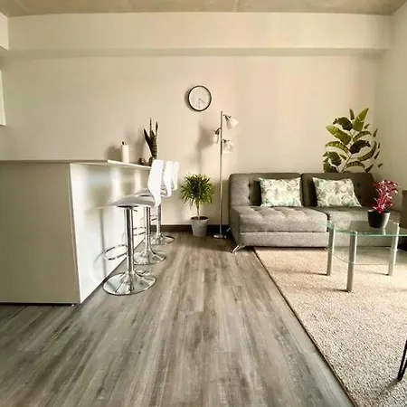 Cozy & Modern - Near The Airport Apartment San Jose  Exterior photo