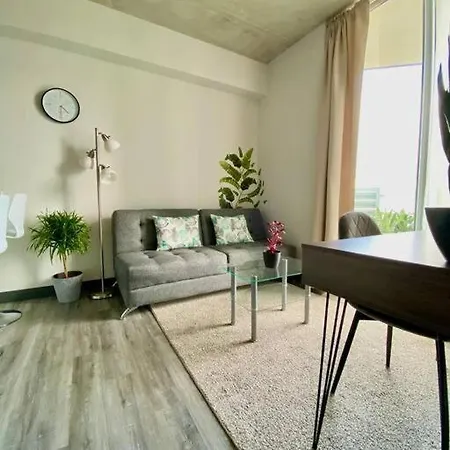 Cozy & Modern - Near The Airport Apartment San Jose  Exterior photo