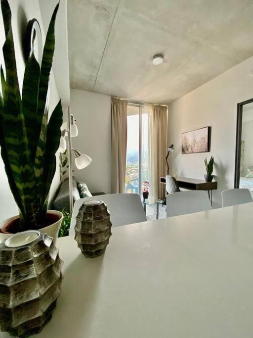 Cozy & Modern - Near The Airport Apartment San Jose (San Jose)