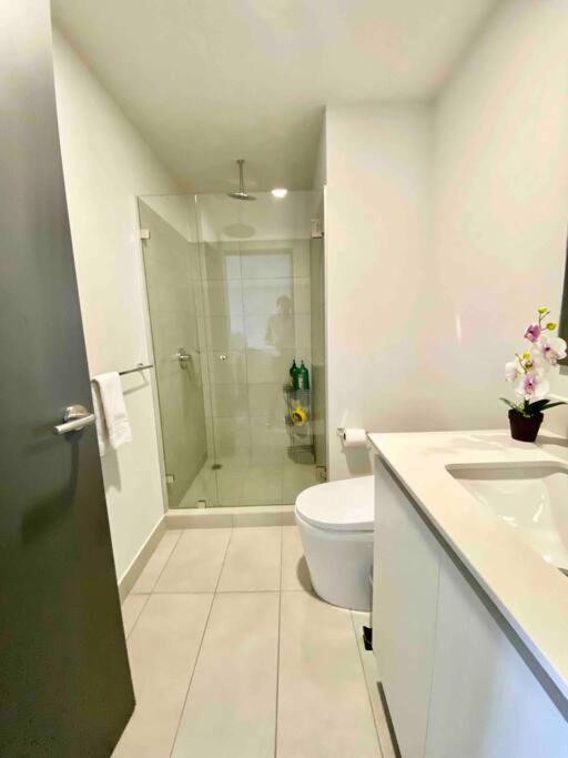 Cozy & Modern - Near The Airport San Jose (San Jose)