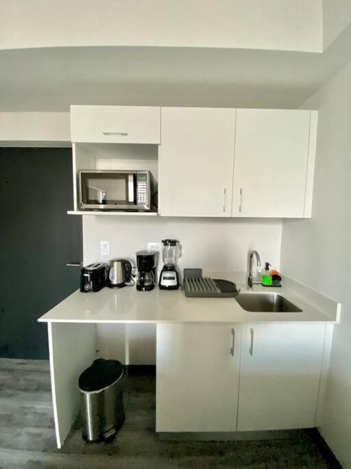 Apartment Cozy & Modern - Near The Airport San Jose (San Jose)
