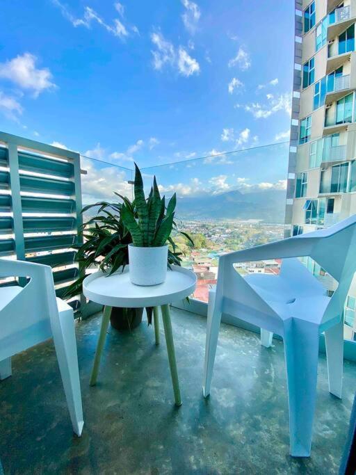 Apartment Cozy & Modern - Near The Airport San Jose (San Jose)